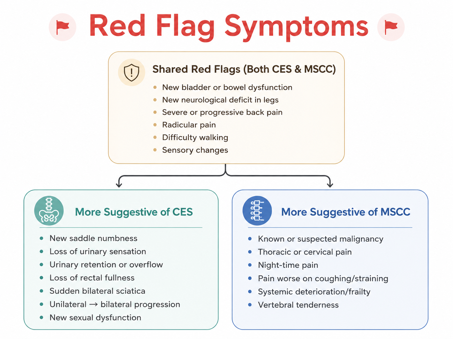 Red flag symptoms for cauda equina syndrome and metastatic spinal cord compression